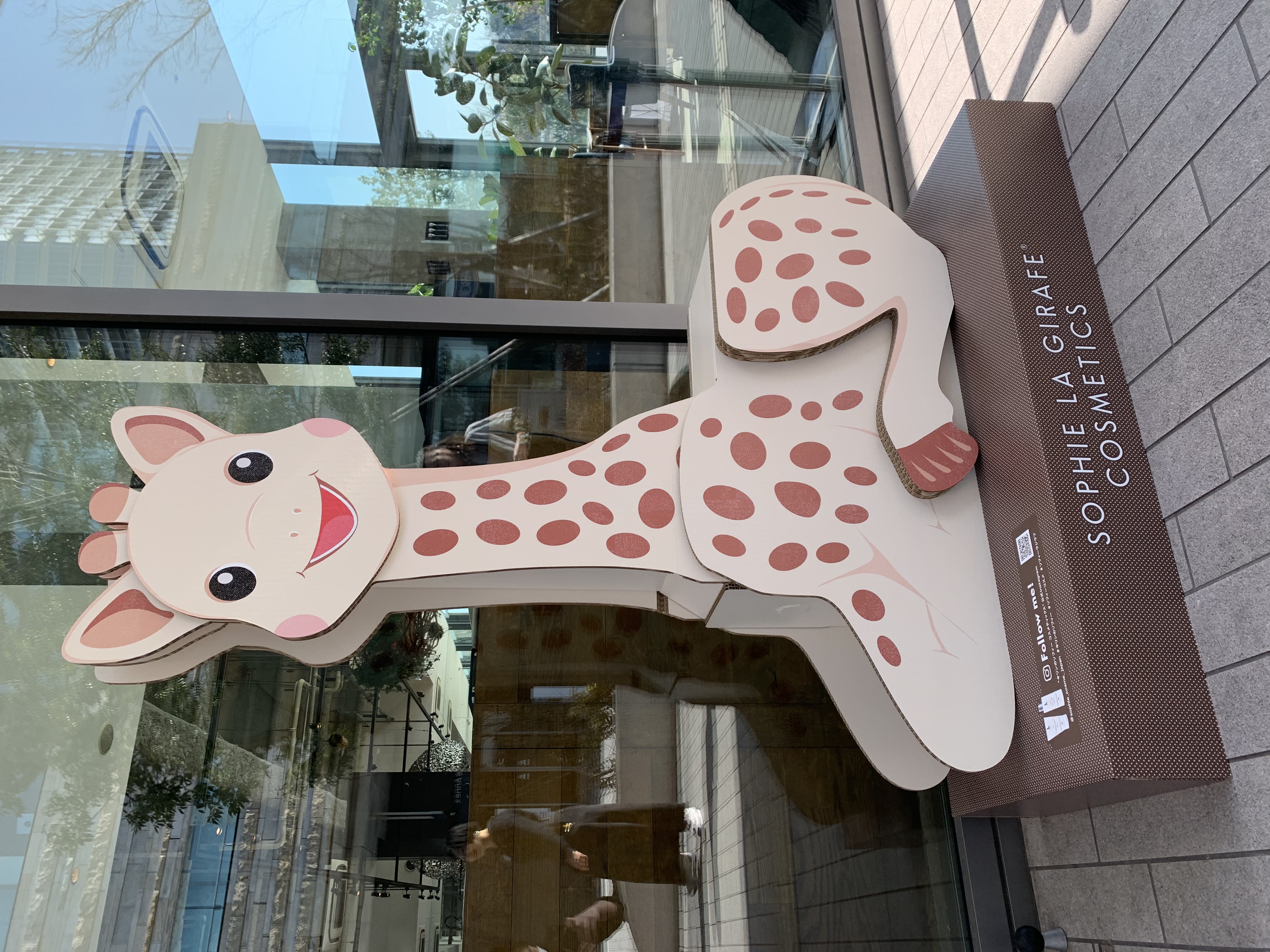 店舗什器6