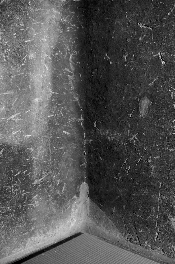 Tai-an ©Naoko Tamura